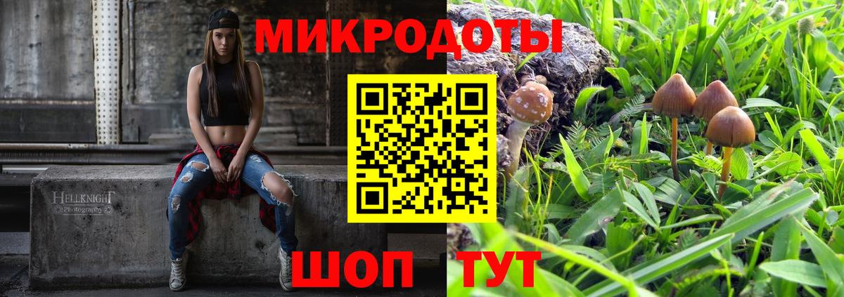 Псилоцибиновые грибы мицелий  Вход с VPN  Домодедово  Псилоцибиновые грибы GOLDEN TEACHER 