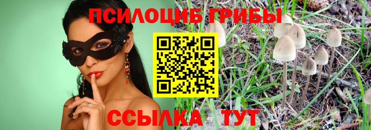 Псилоцибиновые грибы мухоморы Домодедово